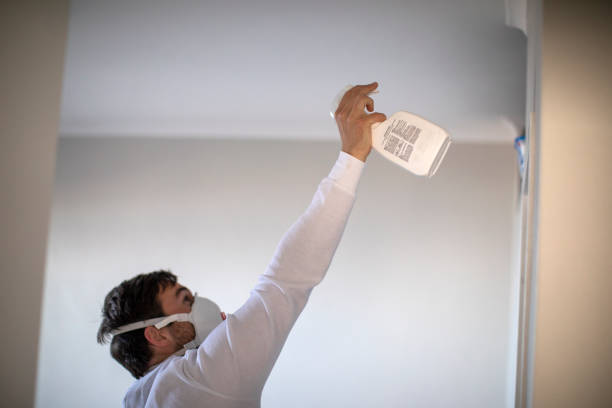 Best Mold Damage Repair  in Beaumont, CA