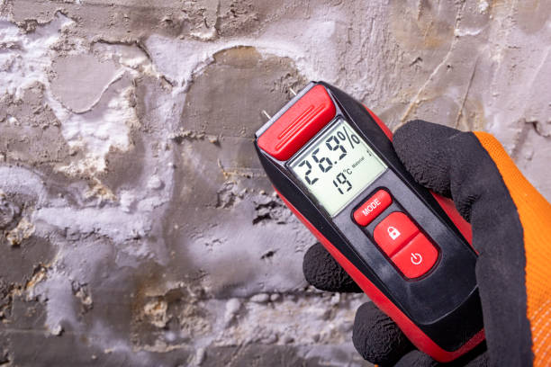 Best Attic Mold Removal  in Beaumont, CA