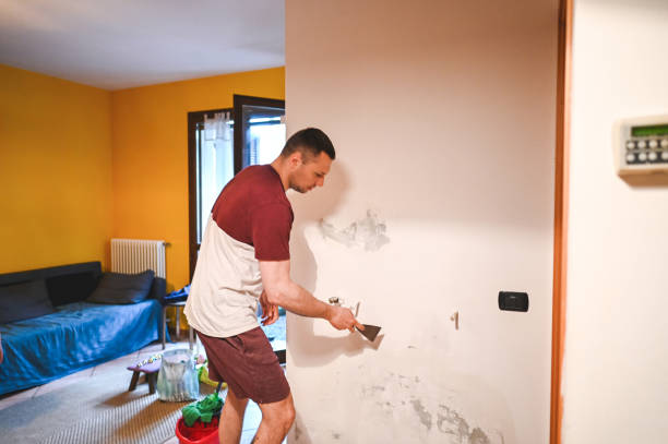 Best Mold Remediation  in Beaumont, CA